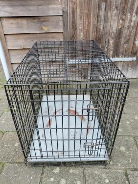Honden bench 2