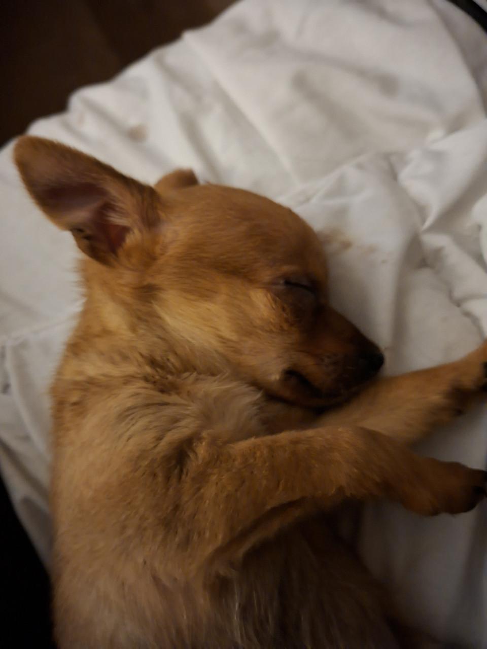 Chiawa reutje geboren 18 september