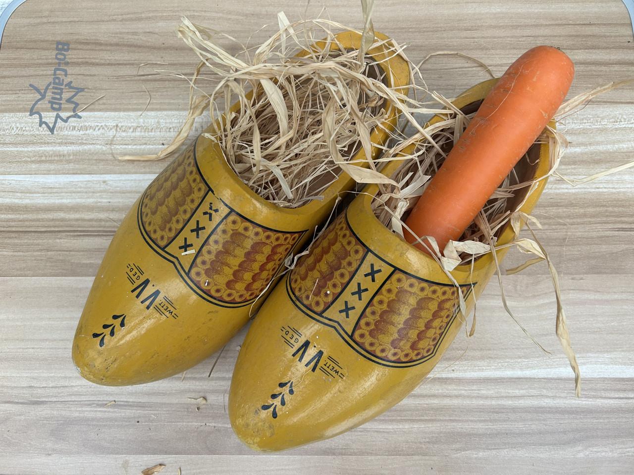 Houten klompen