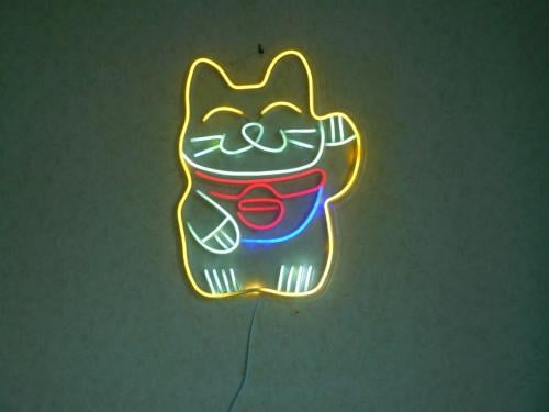 LEDLAMP POES