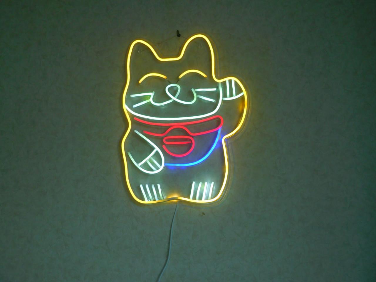 LEDLAMP POES