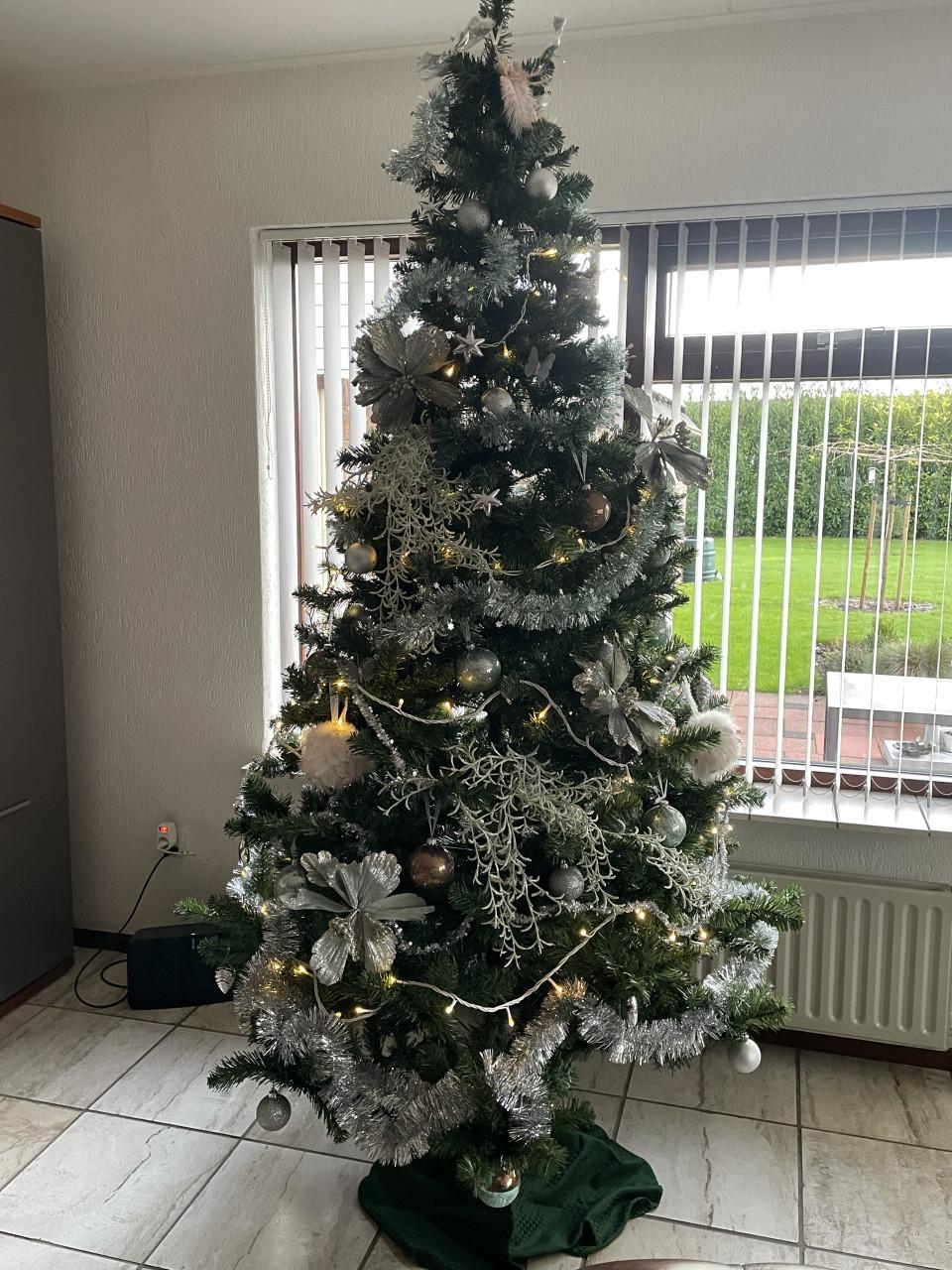 Kerstboom