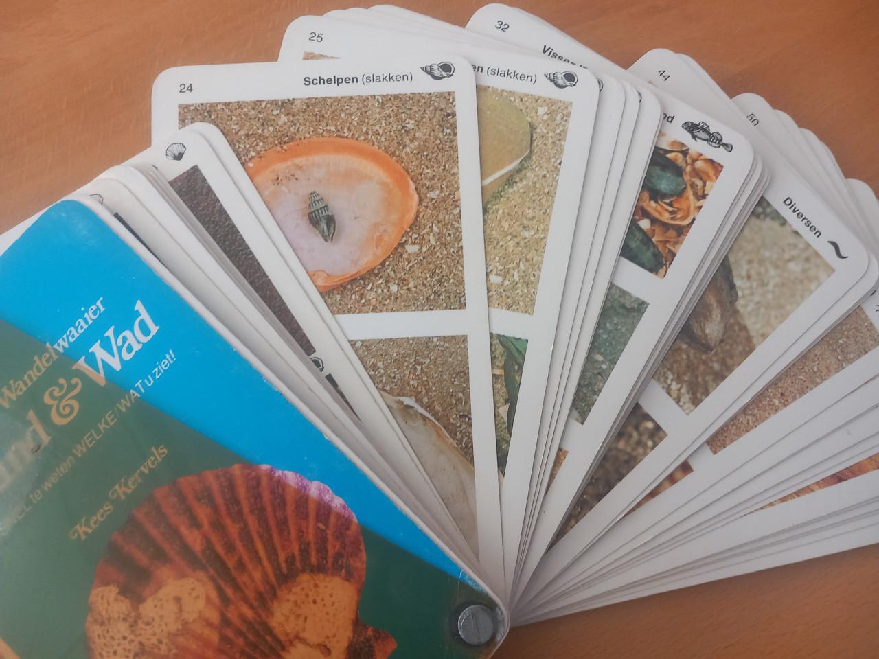 Wandelwaaier Strand en Wad