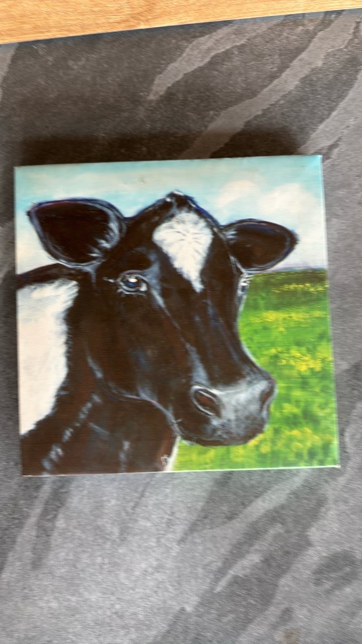 2 x cavans schilderij koe watervast