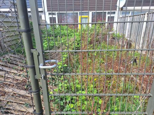 Heb een overgroeide tuin en heh je zelf geen zin om het te doen