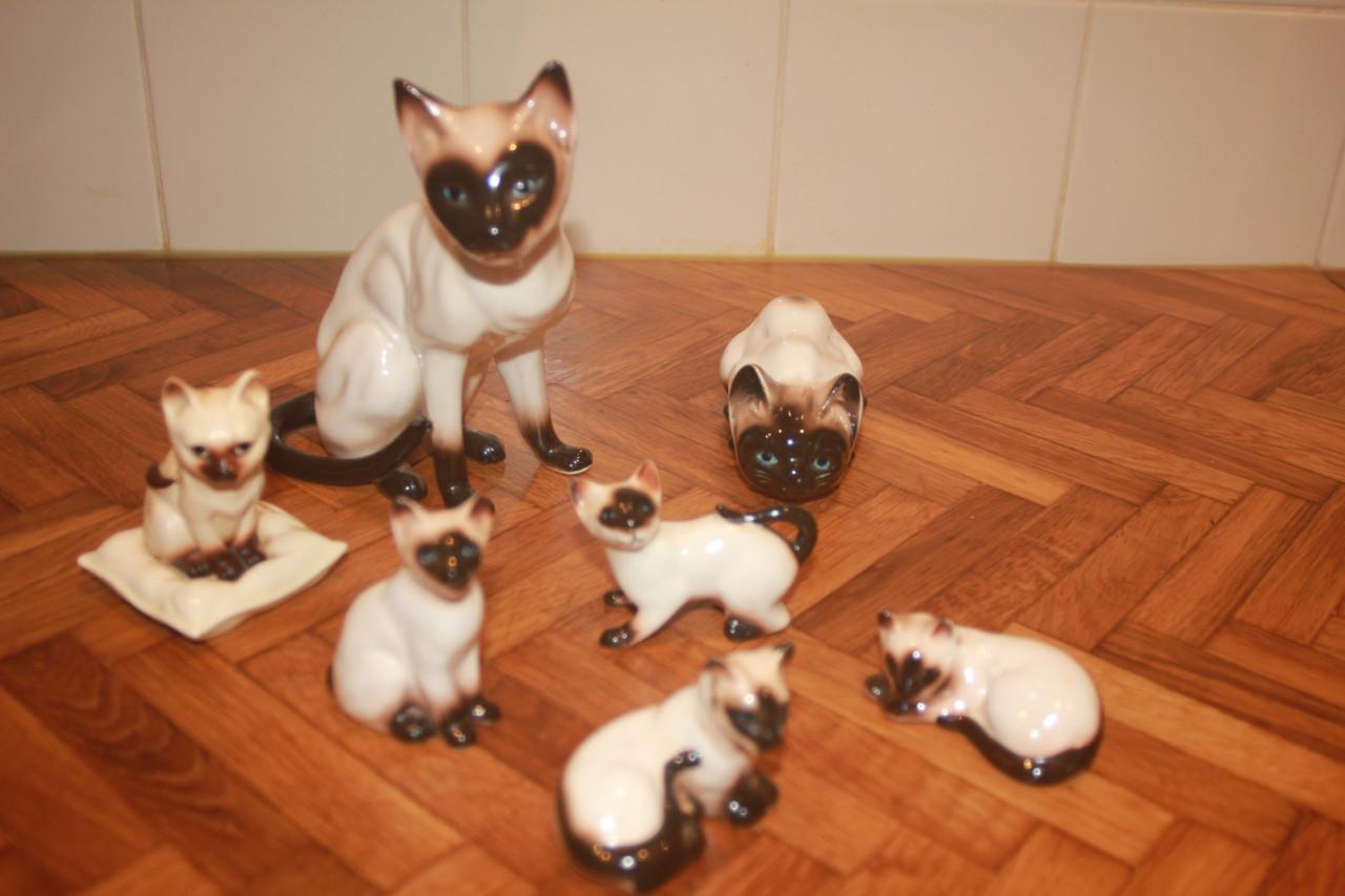 Poezen familie 7 stuks