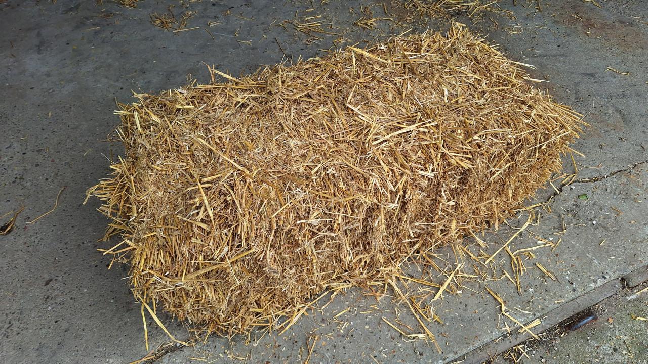 Gereserveerd - Kleine strobaaltjes