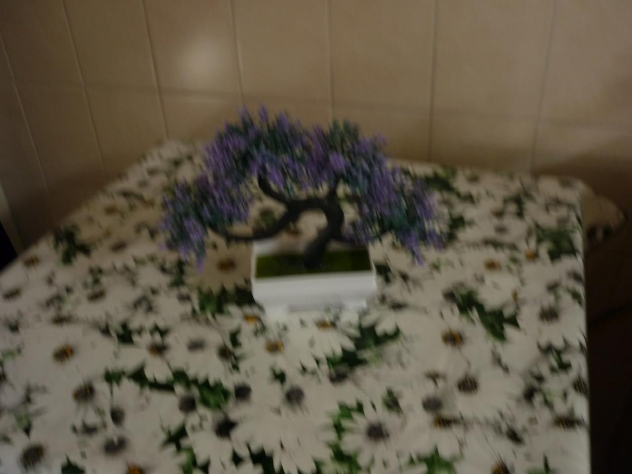 KUNST BONSAI BOOMPJES