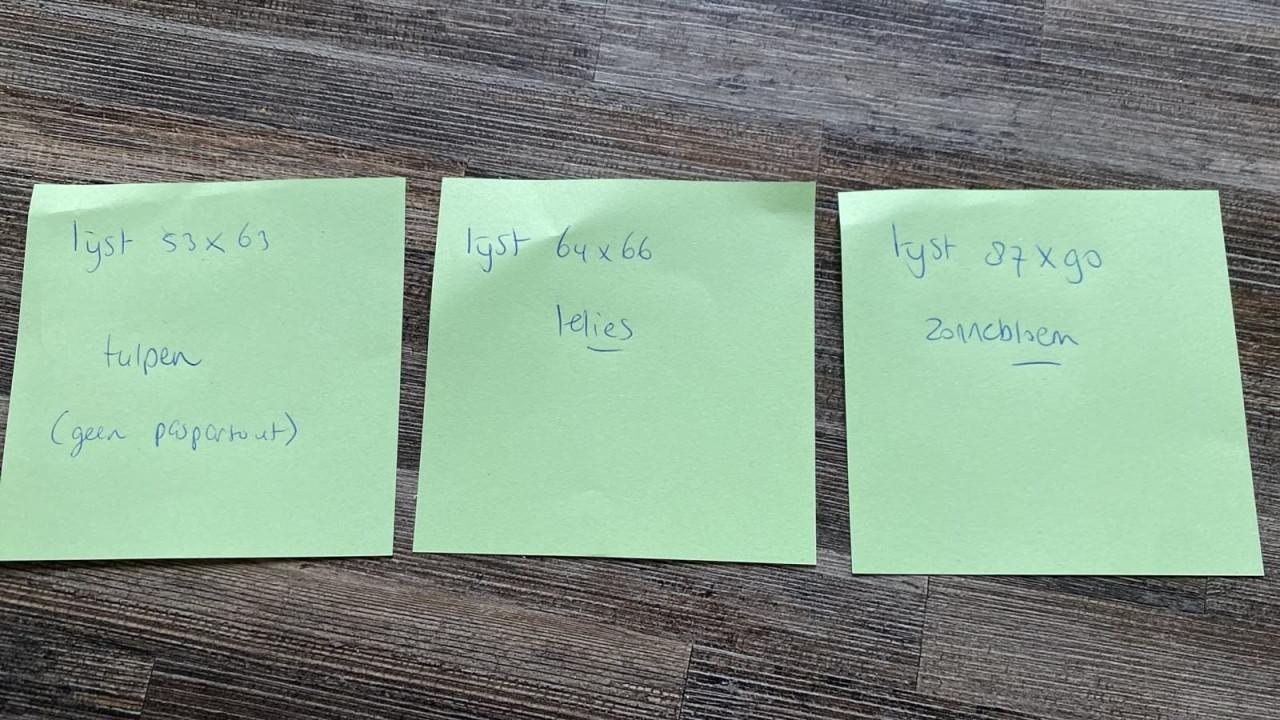 3 x lijst met posters van bloemen