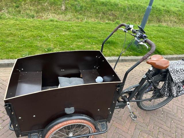 Elektrische bakfiets