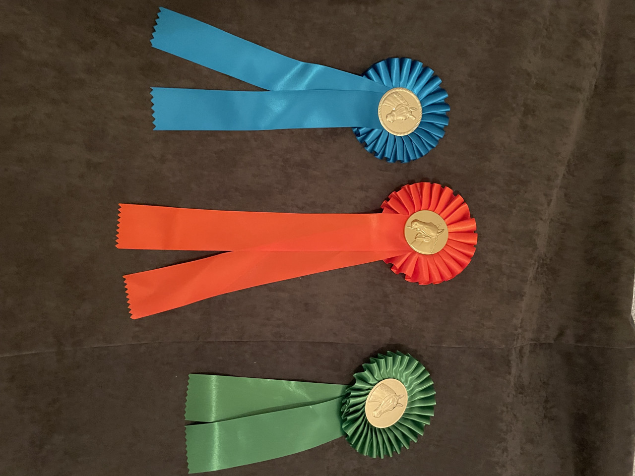 Medailles voor paardensportdag