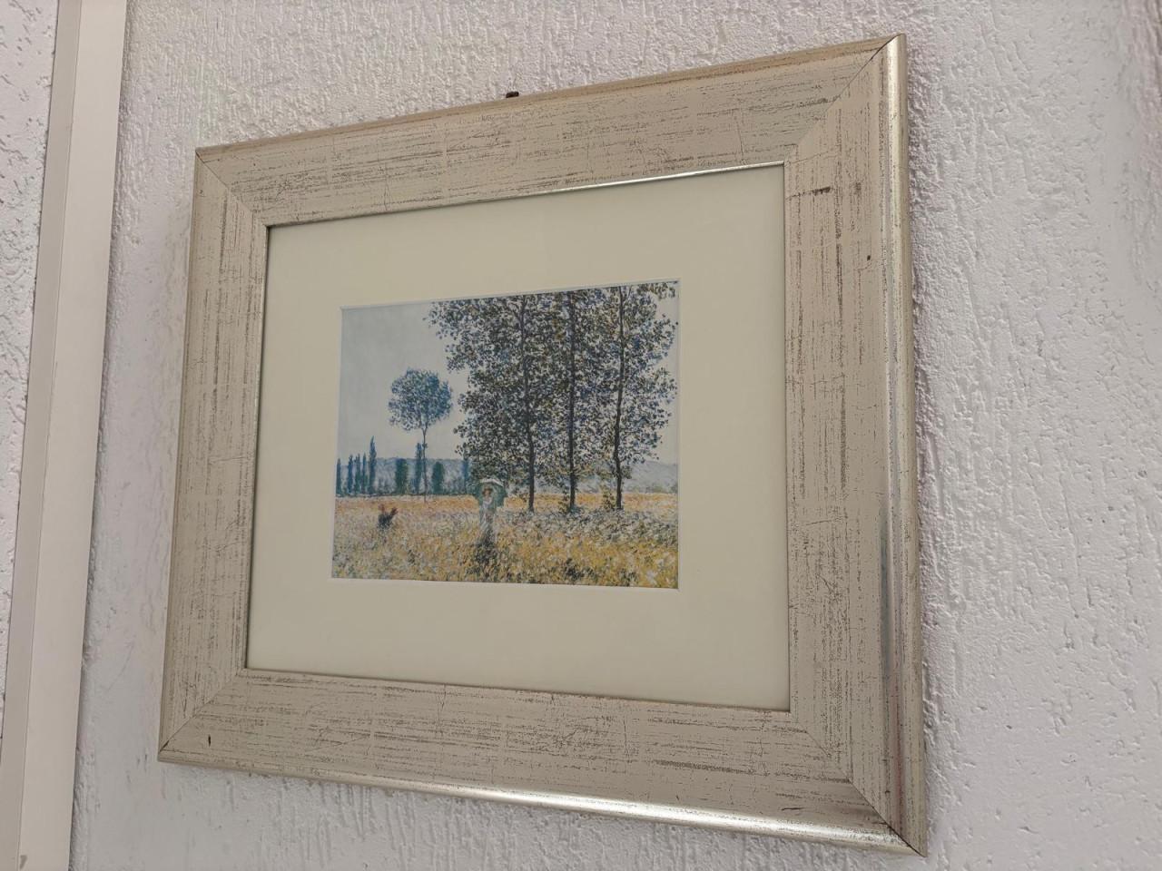 Schilderij achter glas met mooie zilver-/licht-goudkleurige lijst