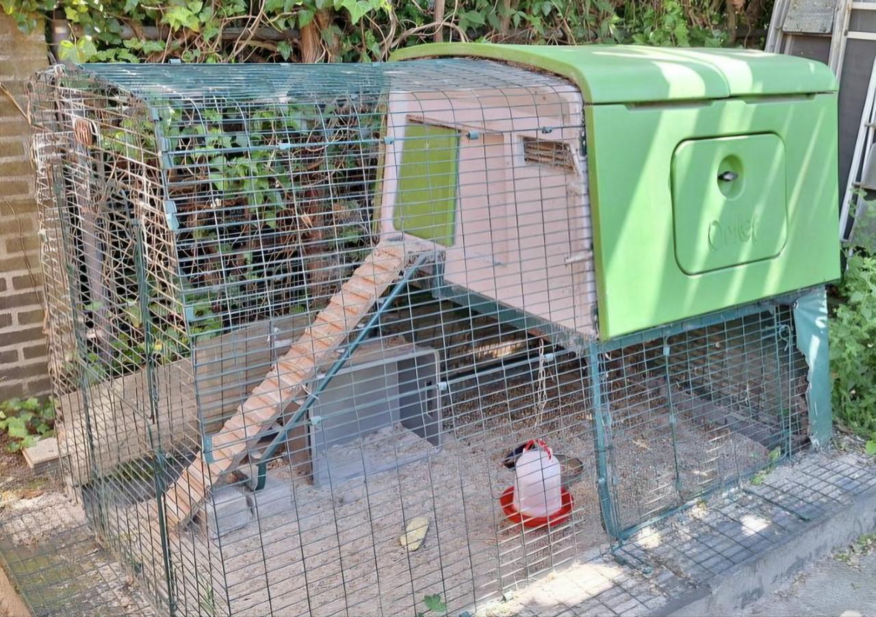 Kippenhok Omlet Eglu Cube
