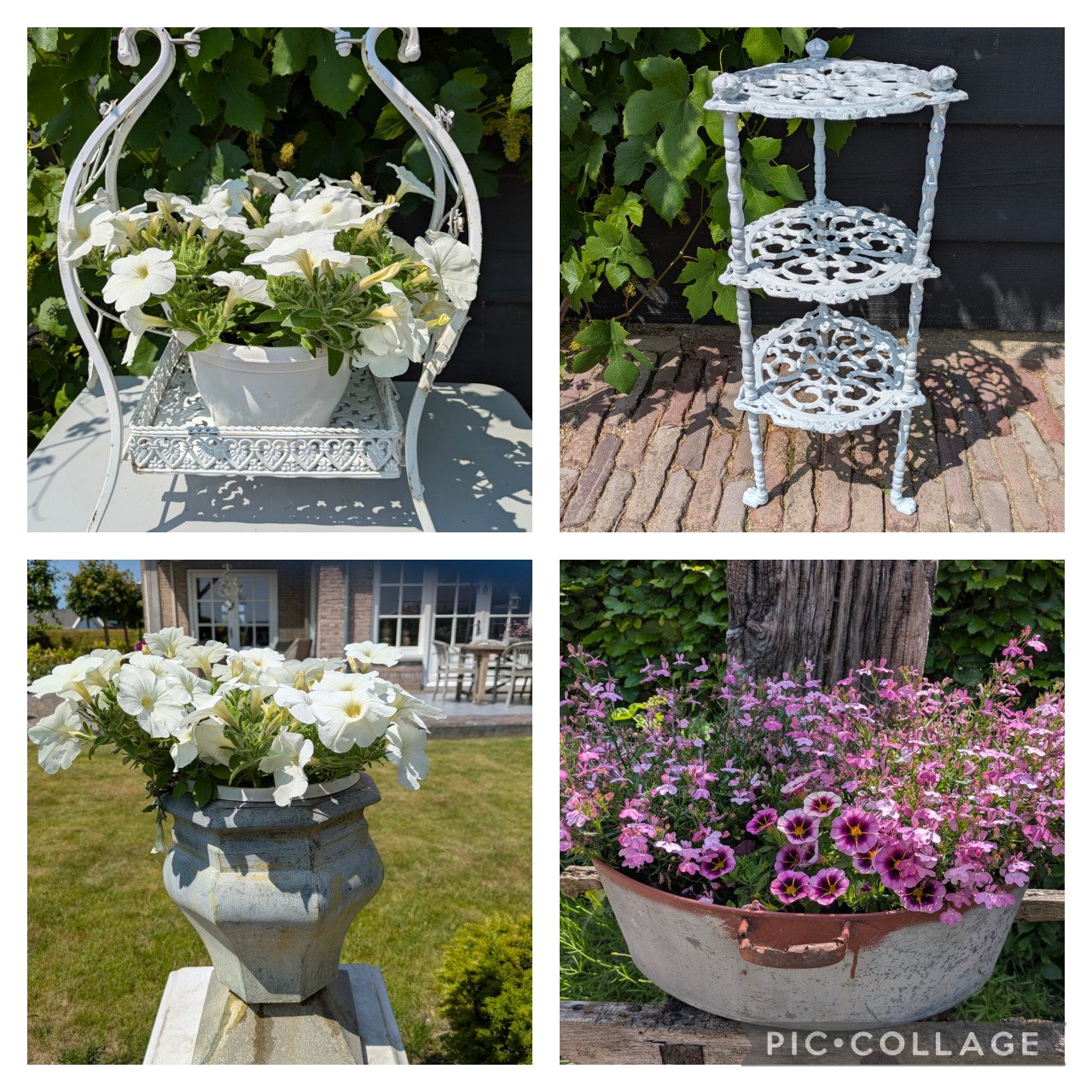 Grote zinken zaaibak met planten