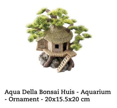 Bonsai huisje