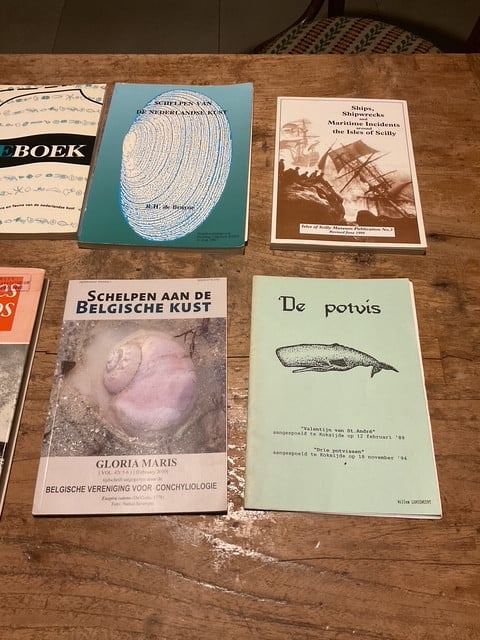 Zeeboeken en Zeeuwse boeken