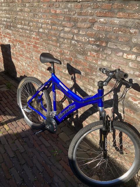 Mountainbike Gazelle Fast Y-shape