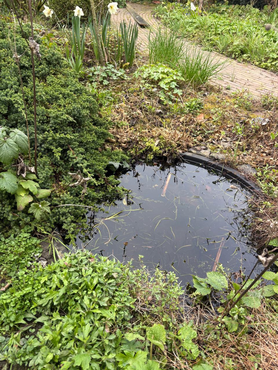 GRATIS: Kunststof minivijver / vijverbak (zelf uitgraven)