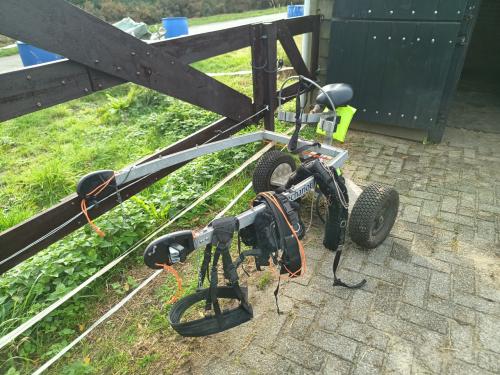 Unieke Saddle Chariot