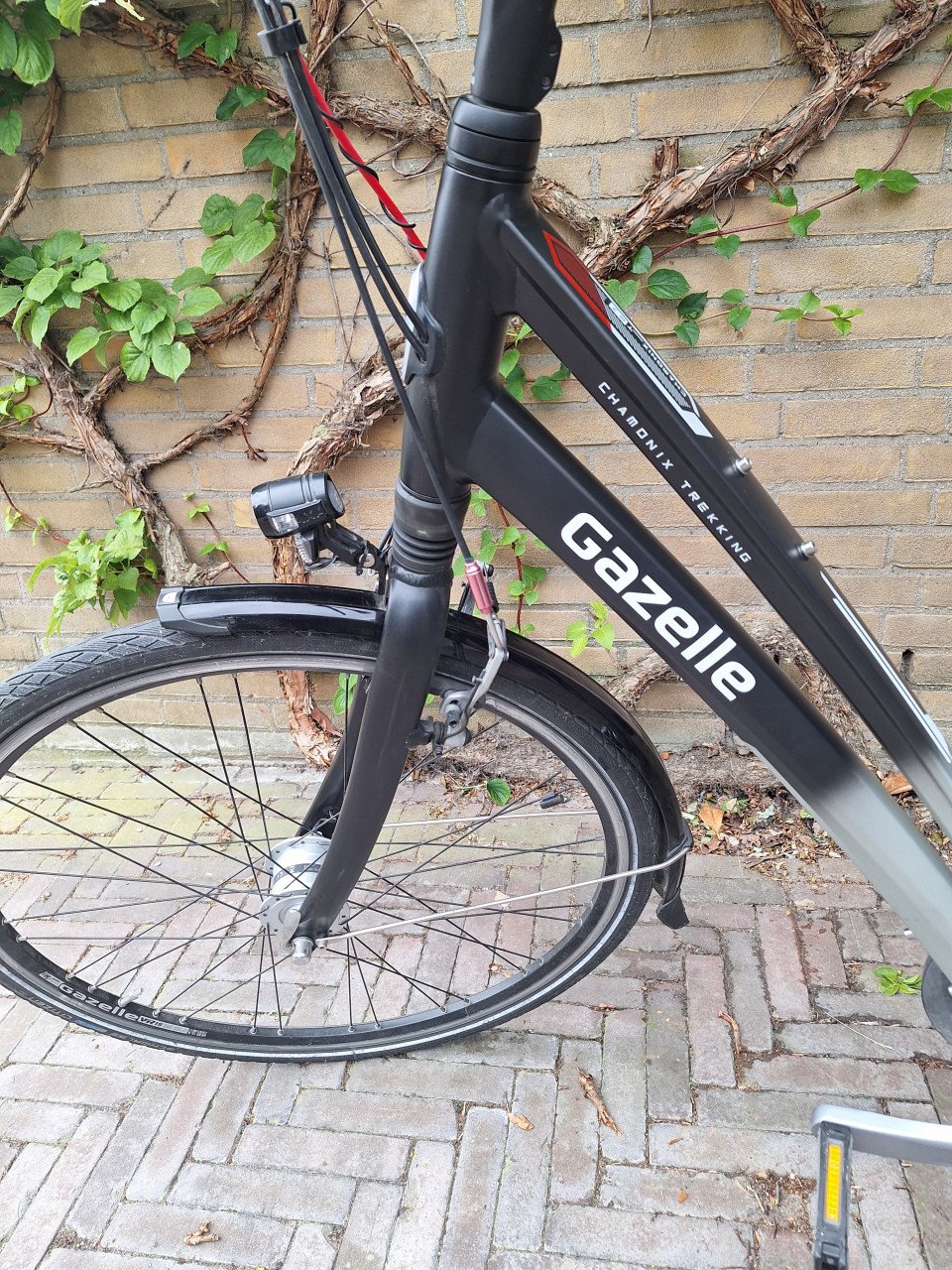 Gazelle damesfiets Chamonix Trekking T27