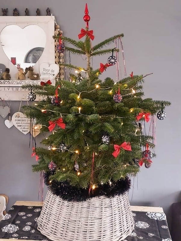 Hang Zeeuws knopje voor in de Kerstboom