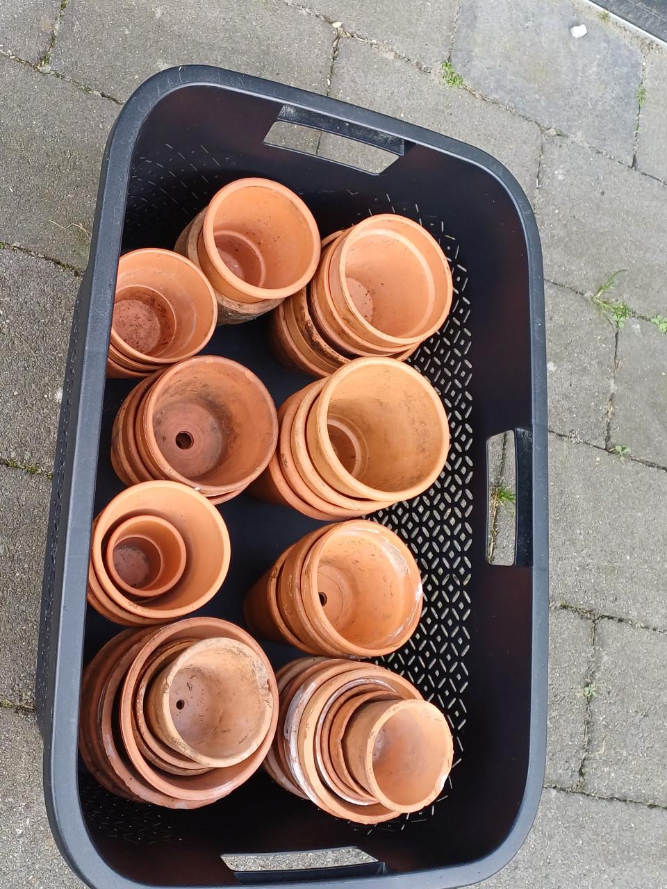 Terracotta potjes
