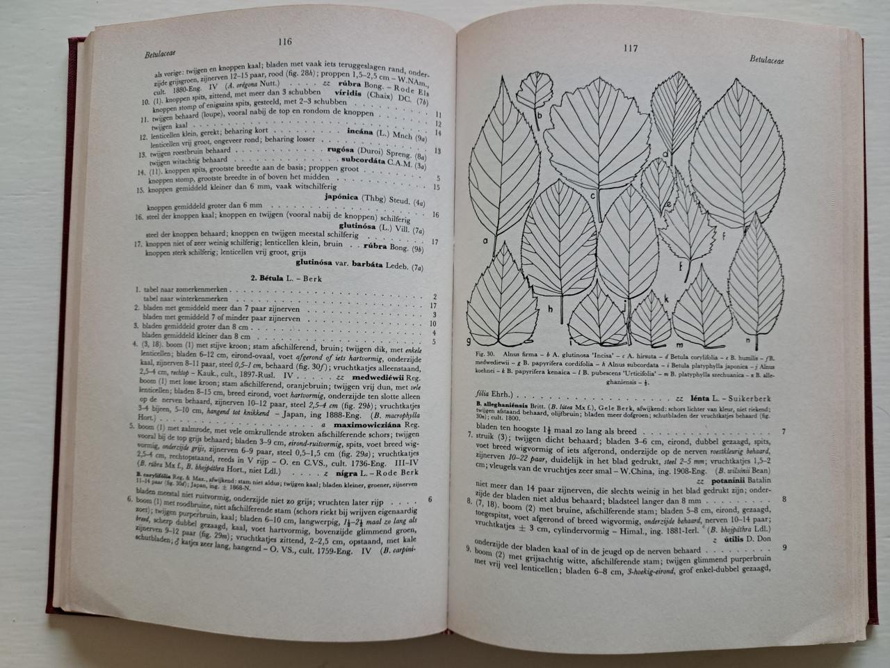 Boek Nederlandse Dendrologie