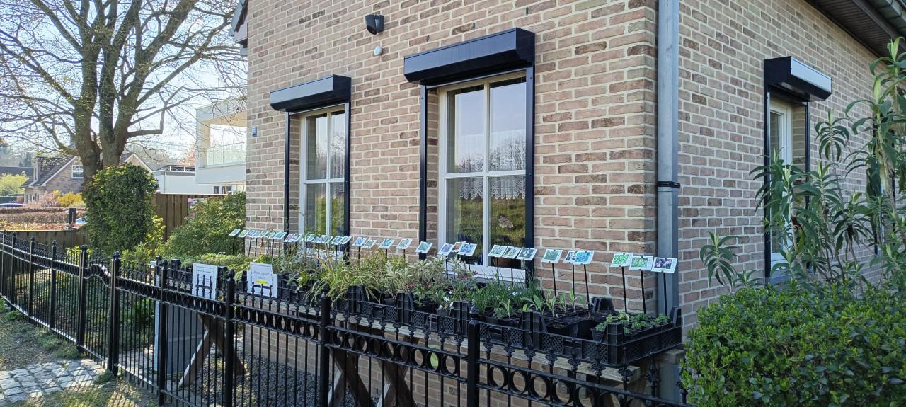 Opzoek naar onbespoten tuinplanten, sterk en ook nog eens voordelig ?