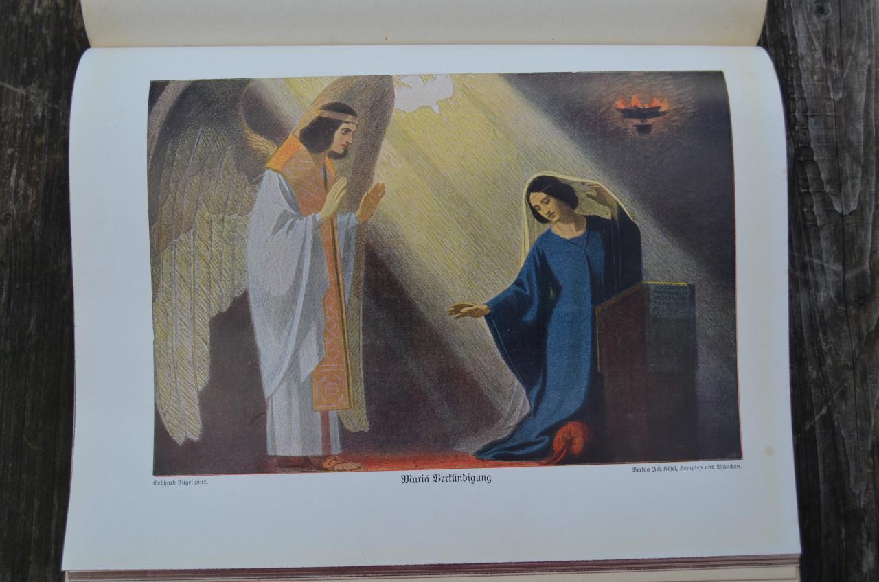 Duitse Volksbijbel / Deutsche Volksbibel 1912 mooie illustraties