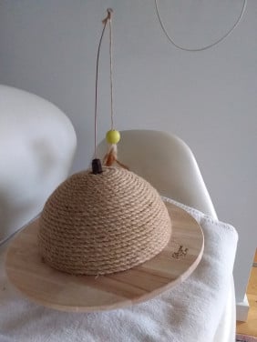 Designed by Lotte krabpaal, Wiggly  krabbol nieuw