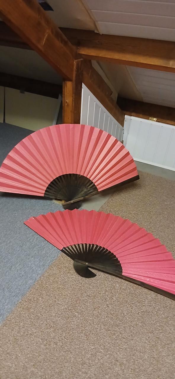 2  mooie Grote roze waaiers