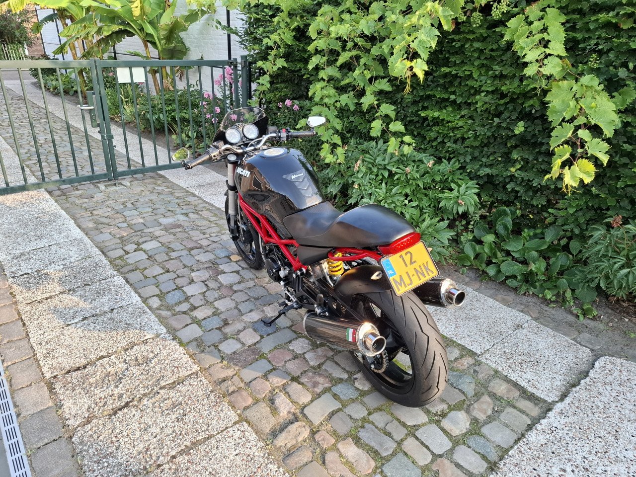 Ducati monster 695