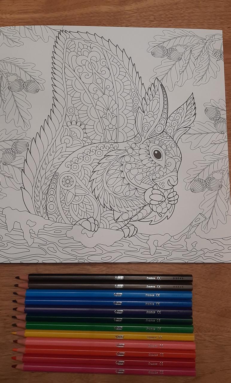 Kleurboek voor volwassenen