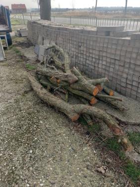 Gratis afhalen haardhout(gereserveerd)