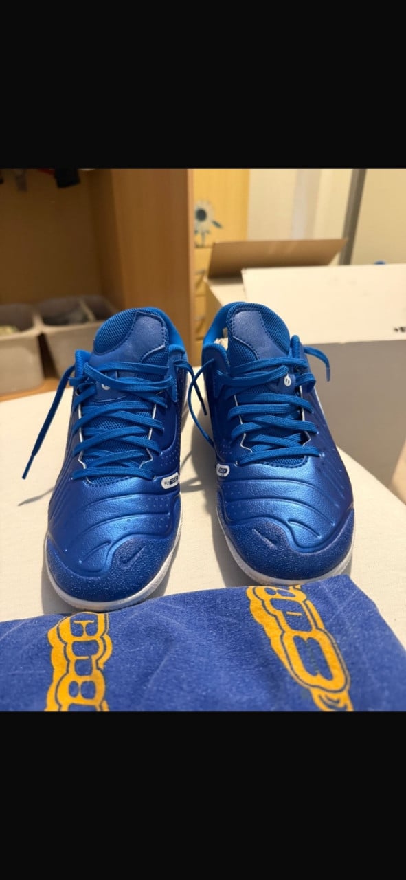 Zaalschoenen nike