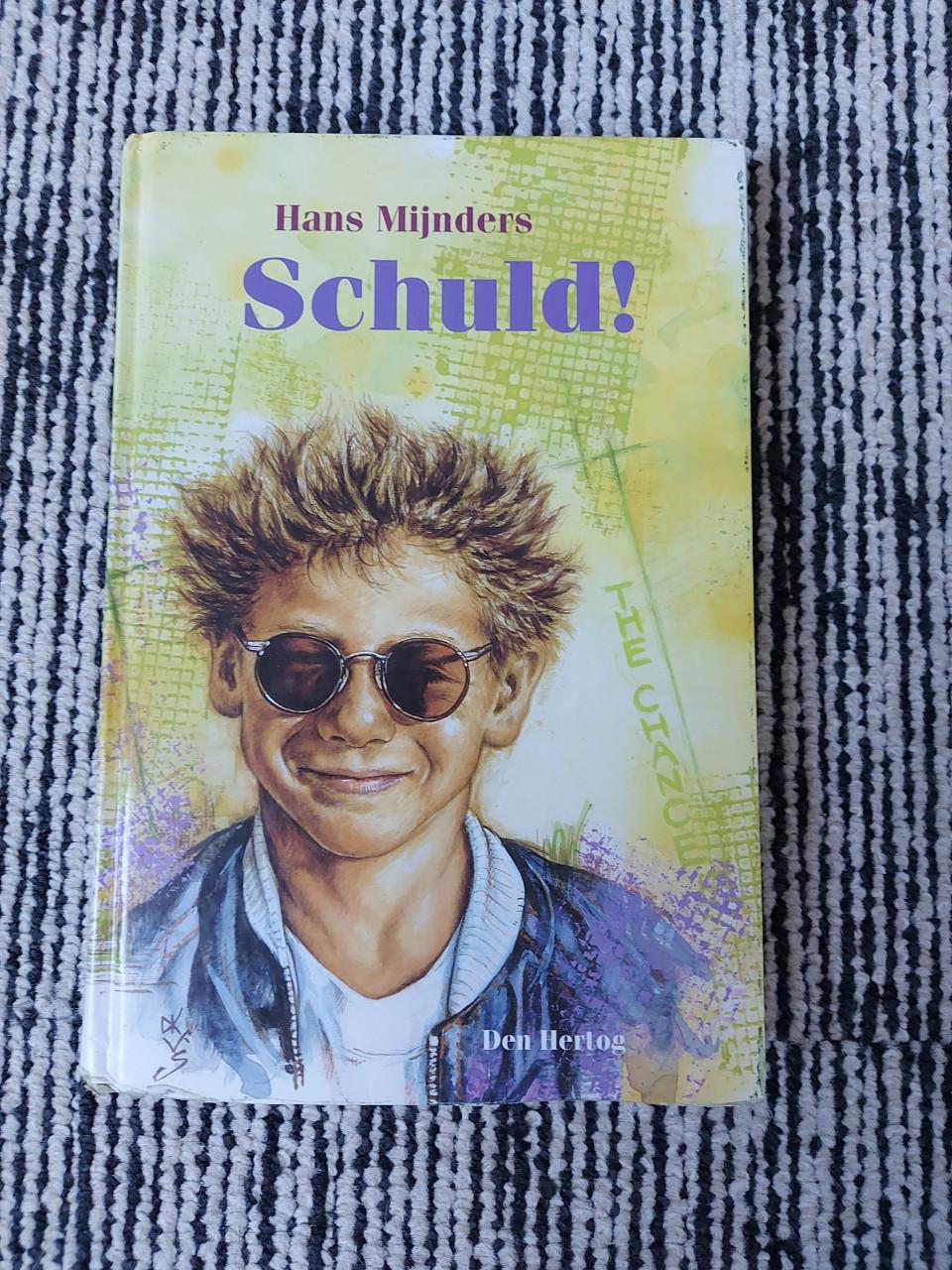 Boek: schuld