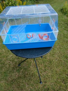 Dieren hamsterkooi