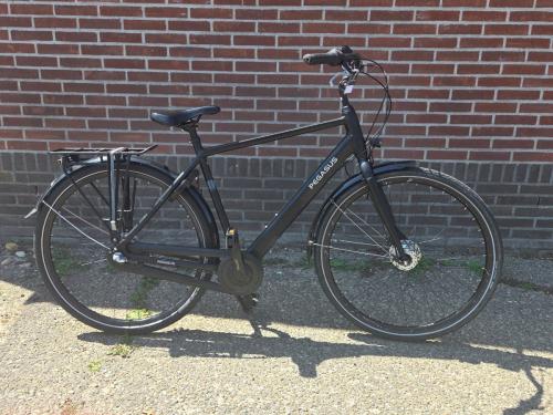 Pegasus lucca heren 55 nex 3 van 699 voor 275 inruil mogelijk