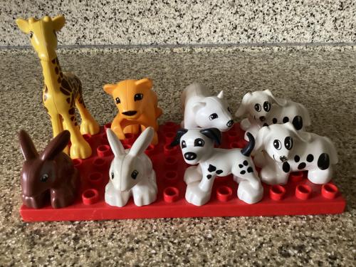 Lego. Duplo.  Verschillende diertjes.  platen. 2x 6x12 en 2x 4x8 nopjes.
