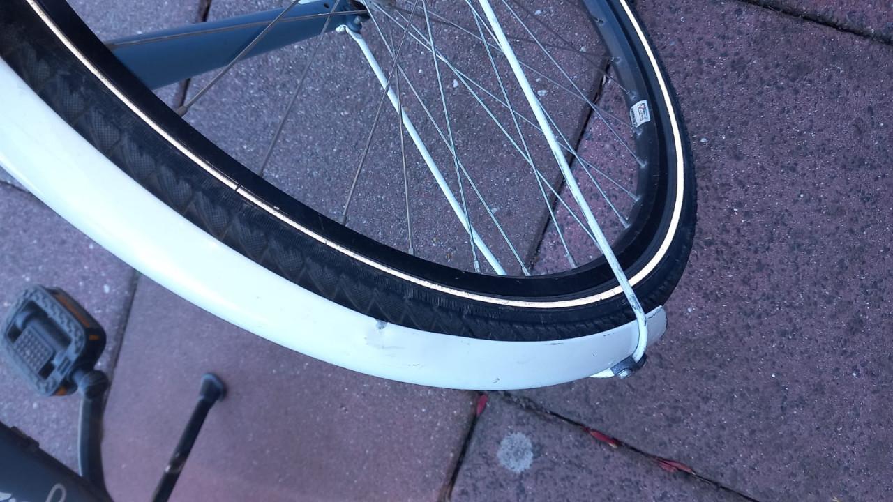 Gazelle Miss Grace meisjes/damesfiets 26 inch