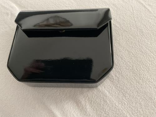 Klein zwart laktasje