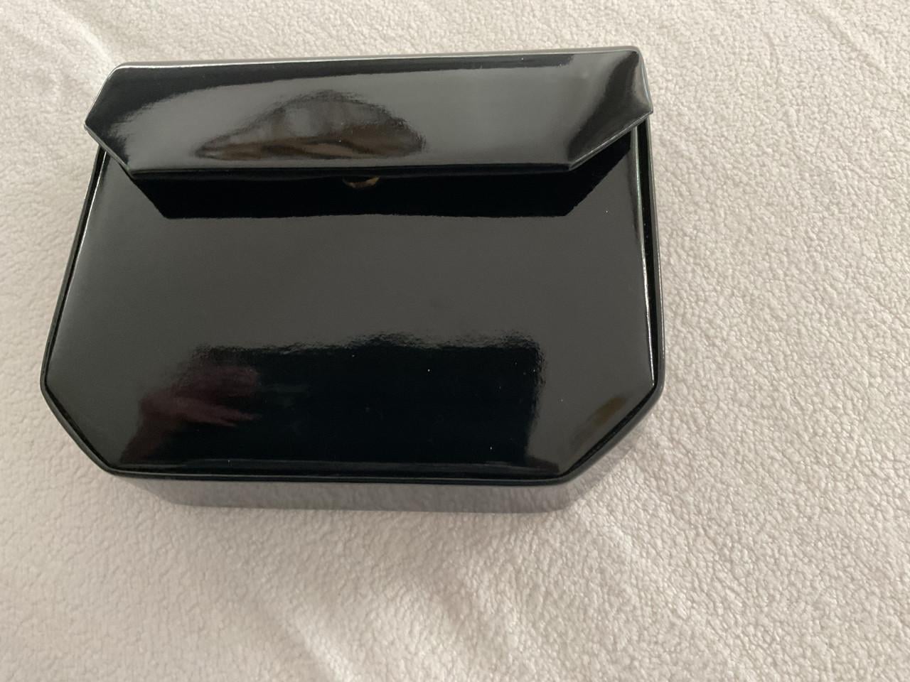 Klein zwart laktasje