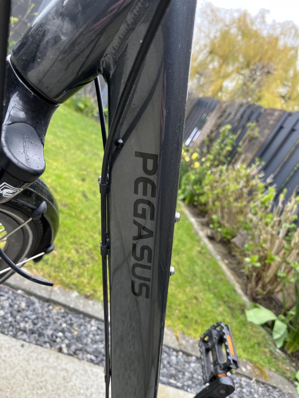 Leuke stadsfiets, nog in goede staat - Pegasus Salerno 7 NL 2022