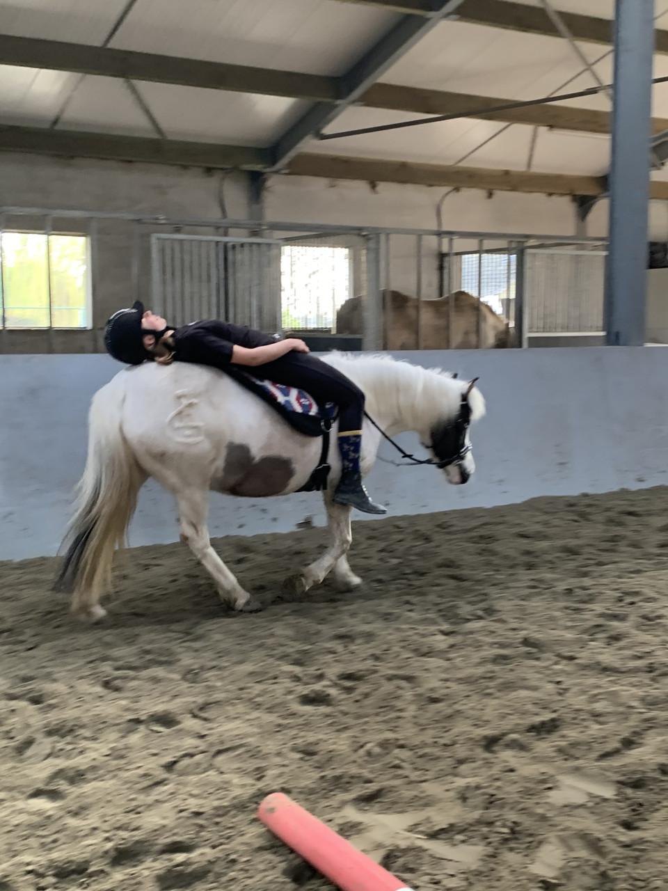 #Equi Pride# Grondwerk, rijden, gedrag, ESDr etc.