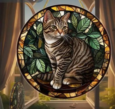 Raamhanger kat - poes