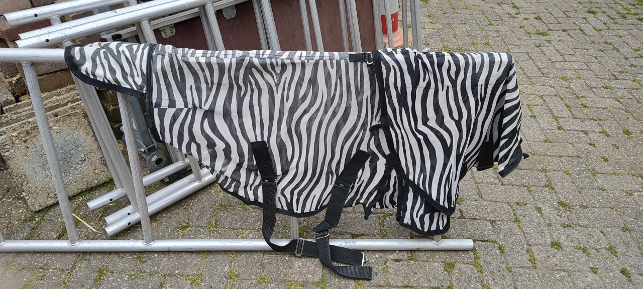 Wegens overlijden shetland pony te koop