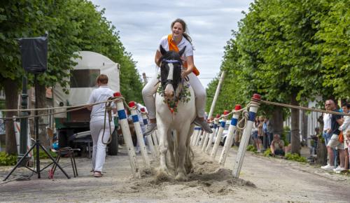 Ringsteken Wemeldinge Zaterdag 5 September tijdens de rommelroute