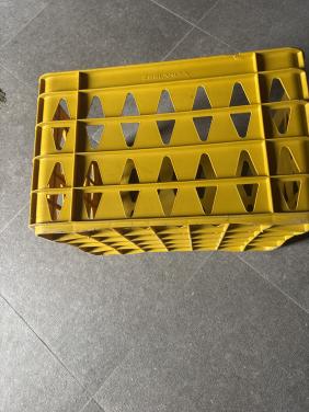 Grote kratten