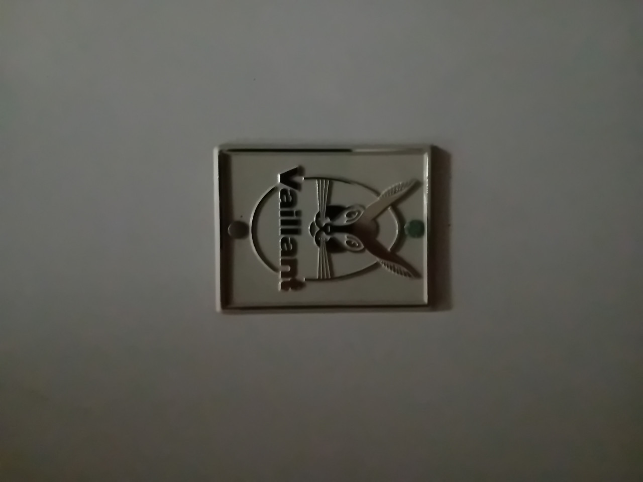 Badgeiser op gas