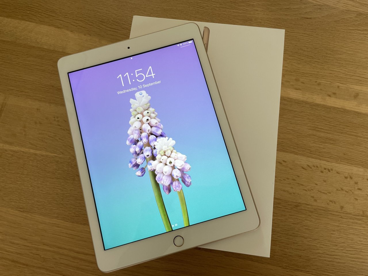 Hele nette iPad: 32GB Goud A1822 (5e generatie)